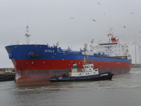 Inyala in IJmuiden, 3 jan 2015