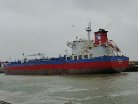 Inyala in IJmuiden, 3 jan 2015
