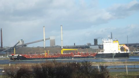 HORNISSE in IJmuiden, 16 jan 2016
