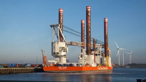 BOLD TERN in IJmuiden, 22 jan 2016
