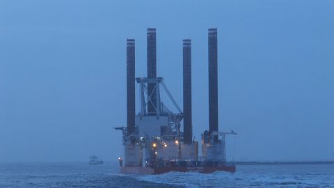 BOLD TERN in IJmuiden, 23 jan 2016