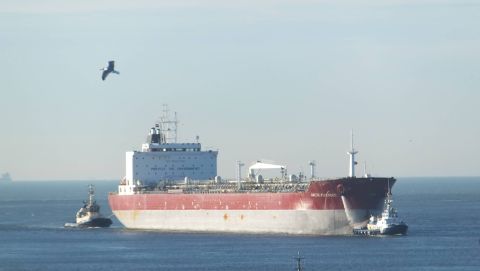 ARCTIC FLOUNDER in IJmuiden, 25 jan 2016