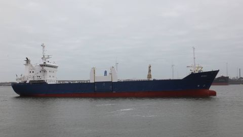 Skog in IJmuiden, 5 feb 2016