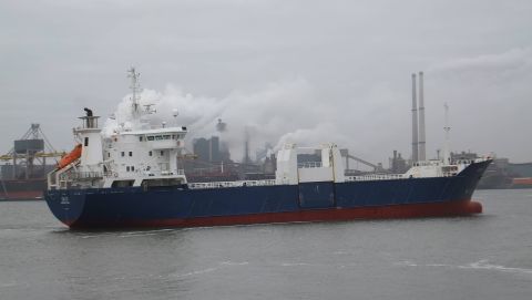 Skog in IJmuiden, 5 feb 2016