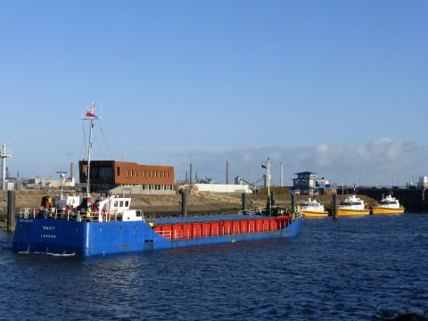 Swift in IJmuiden, 4 jan 2015