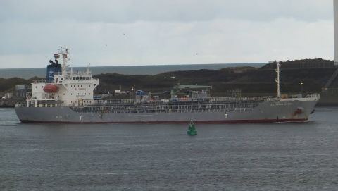 SOUTHERN ZEBRA in IJmuiden, 15 feb 2016