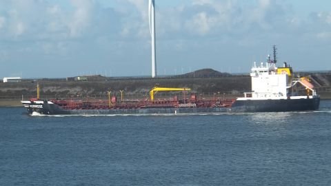 HORNISSE in IJmuiden, 19 feb 2016