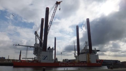 BOLD TERN in IJmuiden, 5 mrt 2016