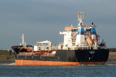 Chiberta in IJmuiden, 7 jan 2015
