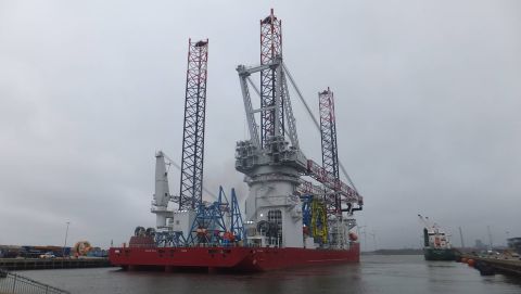 SEAJACKS SCYLLA