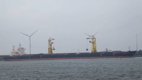 CAPE ELISE in IJmuiden, 21 mrt 2016