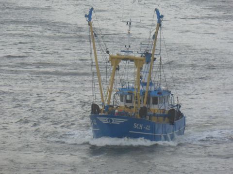 SCH-42 Alida Jolanda in IJmuiden, 7 jan 2015