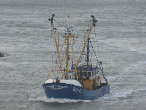 SCH-10 3 Gebroeders 7-1-15 in IJmuiden, 7 jan 2015