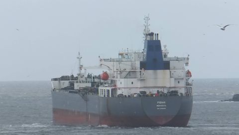 Fidias in IJmuiden, 25 mrt 2016