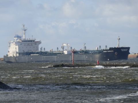Rosa Tomasos in IJmuiden, 14 jan 2015