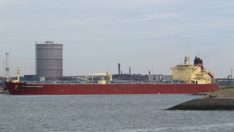 FLAGSHIP VIOLET in IJmuiden, 2 mei 2016