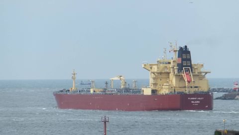 FLAGSHIP VIOLET in IJmuiden, 2 mei 2016