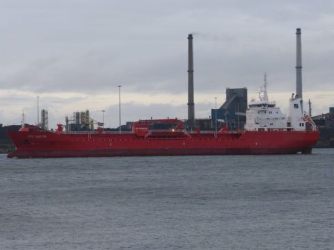 Sten Moster in IJmuiden, 15 jan 2015