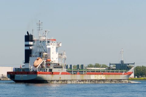 KASTEELBORG in IJmuiden, 5 jun 2016