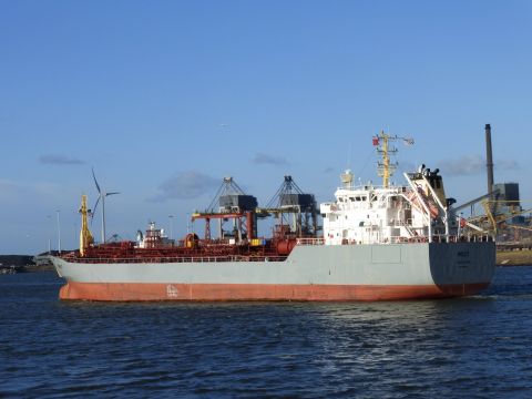 Willy in IJmuiden, 17 jan 2015