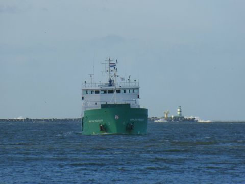 Arklow Resolve in IJmuiden, 17 jan 2015