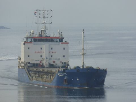 Nephrite in IJmuiden, 20 jan 2015