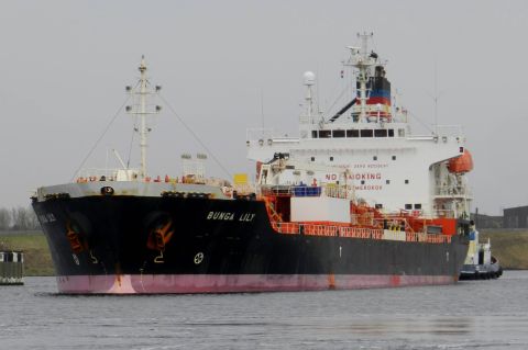 Bunga Lily in IJmuiden, 25 jan 2015