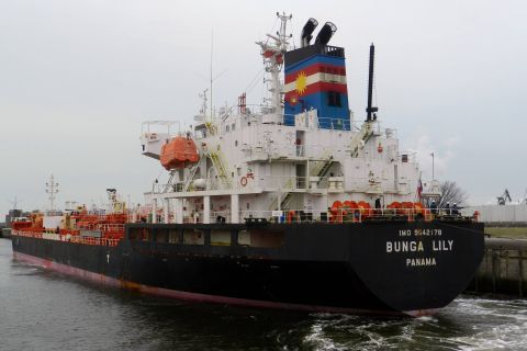 Bunga Lily in IJmuiden, 25 jan 2015