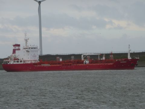 Summer in IJmuiden, 26 jan 2015