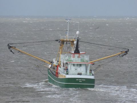TX 36 JAN VAN TOON