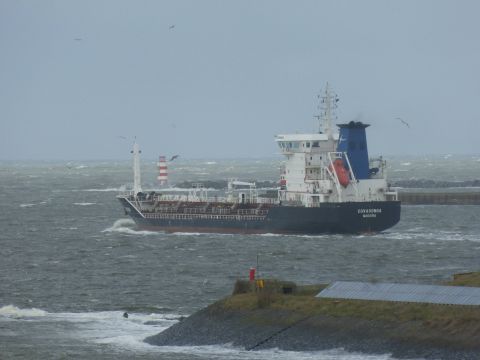 Covadonga in IJmuiden, 29 jan 2015