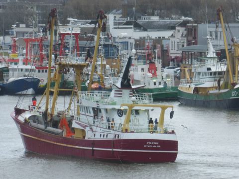KW-88 PELIKAAN in IJmuiden, 30 jan 2015