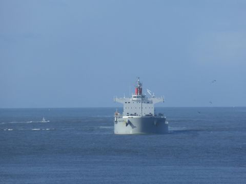 MARINA BLISS in IJmuiden, 3 feb 2015