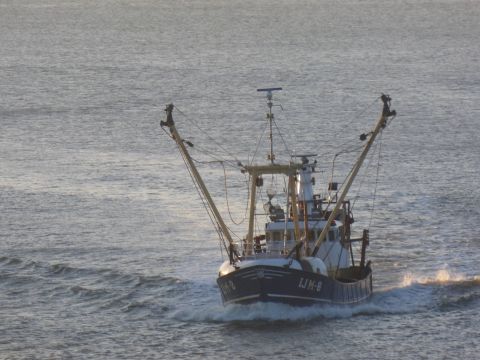 IJM-8 RONY 5-2-15 in IJmuiden, 5 feb 2015