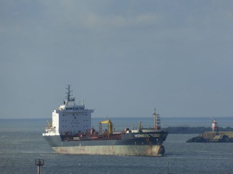 HORNISSE in IJmuiden, 5 feb 2015