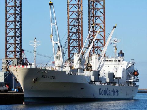 WILD LOTUS in IJmuiden, 29 okt 2016