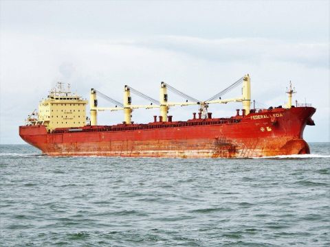 FEDERAL LEDA in IJmuiden, 3 nov 2016