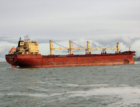 FEDERAL LEDA in IJmuiden, 3 nov 2016