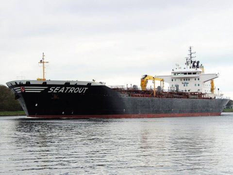 SEATROUT in IJmuiden, 7 nov 2016
