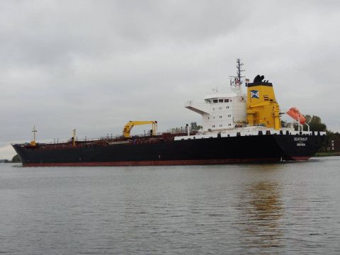 SEATROUT in IJmuiden, 7 nov 2016