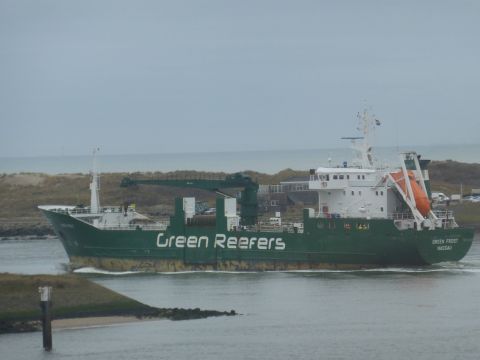 Green Frost in IJmuiden, 10 feb 2015