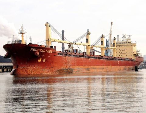 FEDERAL LEDA in IJmuiden, 8 nov 2016