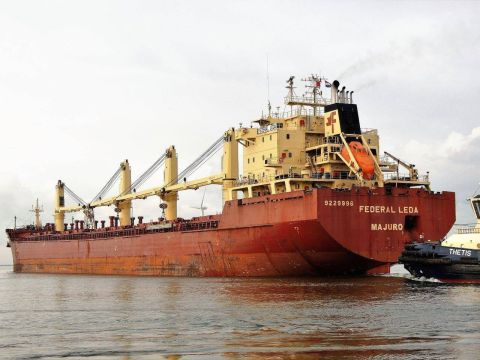 FEDERAL LEDA in IJmuiden, 8 nov 2016