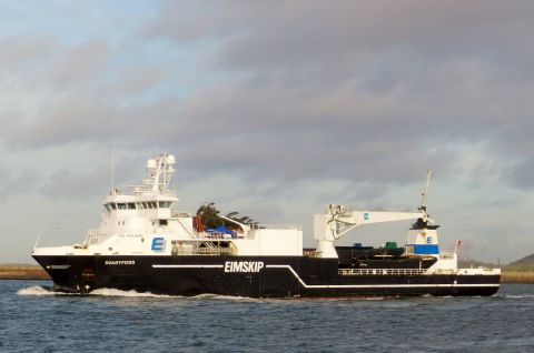 Svartfoss in IJmuiden, 16 nov 2016