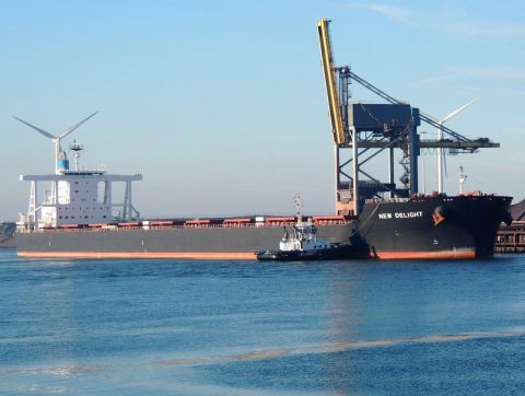 NEW DELIGHT in IJmuiden, 26 nov 2016