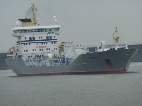 Ternhav in IJmuiden, 14 feb 2015