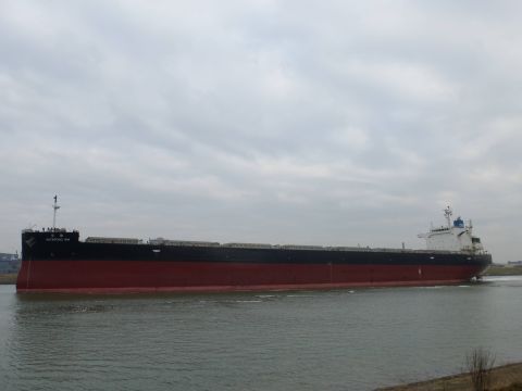 Botafogo Sw in IJmuiden, 14 feb 2015