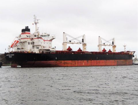 WESTERN FEDORA in IJmuiden, 1 dec 2016