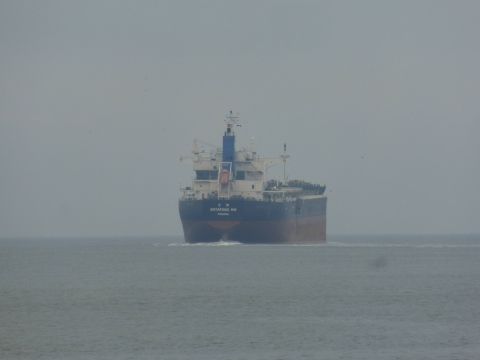Botafogo Sw in IJmuiden, 14 feb 2015