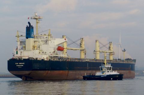COS ORCHID in IJmuiden, 14 dec 2016